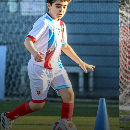 fila-1-columna-2 (10)